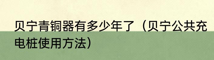 贝宁青铜器有多少年了（贝宁公共充电桩使用方法）
