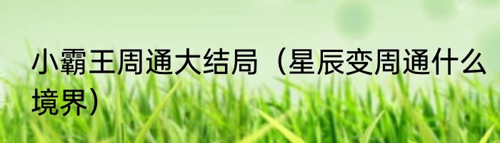 小霸王周通大结局（星辰变周通什么境界）