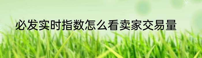 必发实时指数怎么看卖家交易量