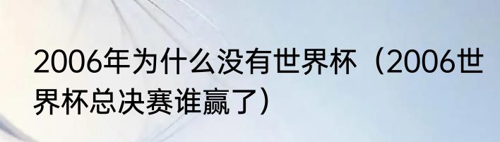 2006年为什么没有世界杯（2006世界杯总决赛谁赢了）