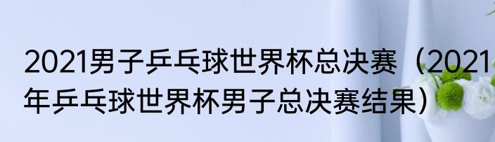 2021男子乒乓球世界杯总决赛（2021年乒乓球世界杯男子总决赛结果）