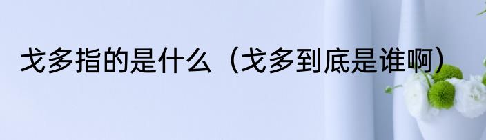 戈多指的是什么（戈多到底是谁啊）