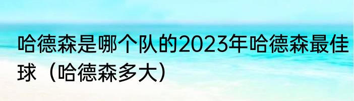 哈德森是哪个队的2023年哈德森最佳球（哈德森多大）