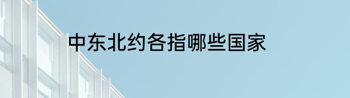 中东北约各指哪些国家