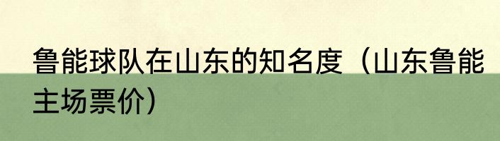 鲁能球队在山东的知名度（山东鲁能主场票价）