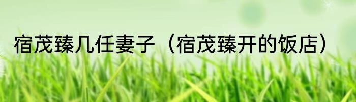 宿茂臻几任妻子（宿茂臻开的饭店）