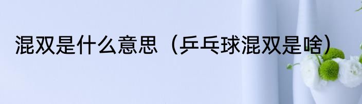混双是什么意思（乒乓球混双是啥）