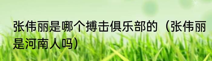 张伟丽是哪个搏击俱乐部的（张伟丽是河南人吗）