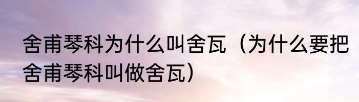 舍甫琴科为什么叫舍瓦（为什么要把舍甫琴科叫做舍瓦）