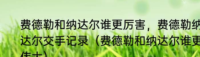 费德勒和纳达尔谁更厉害，费德勒纳达尔交手记录（费德勒和纳达尔谁更伟大）