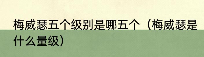 梅威瑟五个级别是哪五个（梅威瑟是什么量级）