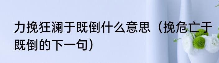 力挽狂澜于既倒什么意思（挽危亡于既倒的下一句）