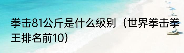 拳击81公斤是什么级别（世界拳击拳王排名前10）