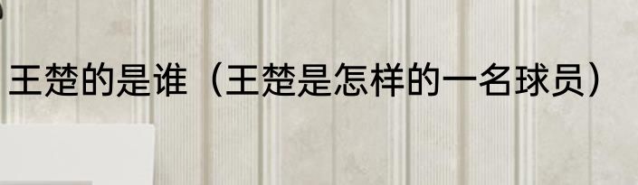 王楚的是谁（王楚是怎样的一名球员）