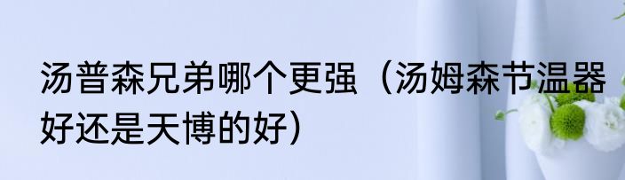 汤普森兄弟哪个更强（汤姆森节温器好还是天博的好）