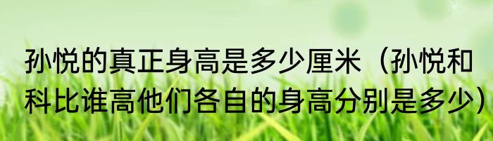 孙悦的真正身高是多少厘米（孙悦和科比谁高他们各自的身高分别是多少）