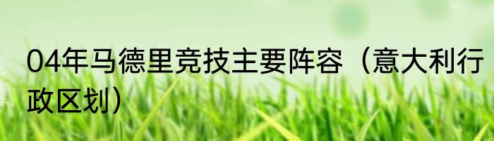 04年马德里竞技主要阵容（意大利行政区划）