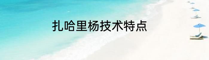 扎哈里杨技术特点