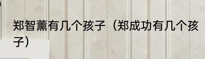 郑智薰有几个孩子（郑成功有几个孩子）