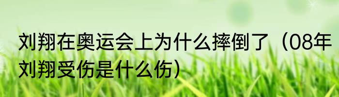 刘翔在奥运会上为什么摔倒了（08年刘翔受伤是什么伤）
