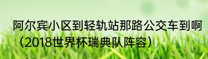 阿尔宾小区到轻轨站那路公交车到啊（2018世界杯瑞典队阵容）