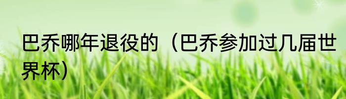 巴乔哪年退役的（巴乔参加过几届世界杯）