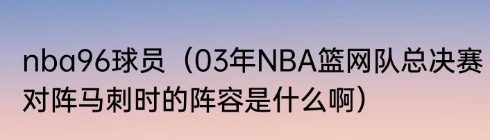 nba96球员（03年NBA篮网队总决赛对阵马刺时的阵容是什么啊）