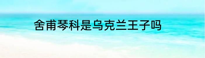 舍甫琴科是乌克兰王子吗