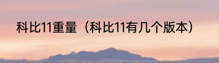 科比11重量（科比11有几个版本）