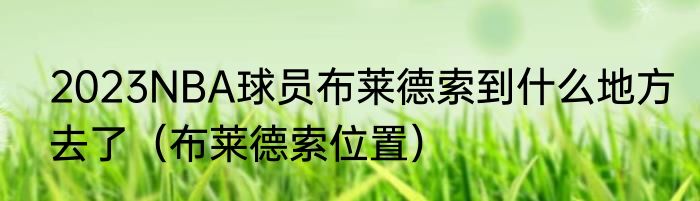 2023NBA球员布莱德索到什么地方去了（布莱德索位置）