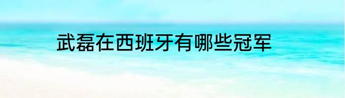 武磊在西班牙有哪些冠军