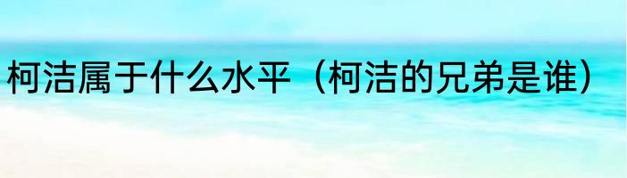 柯洁属于什么水平（柯洁的兄弟是谁）