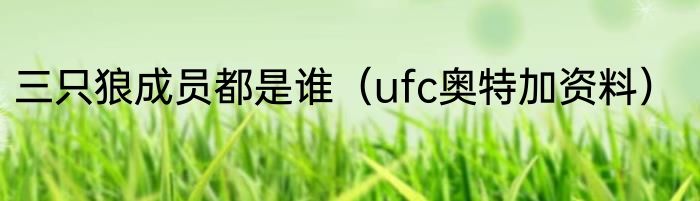 三只狼成员都是谁（ufc奥特加资料）