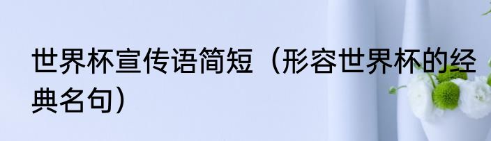 世界杯宣传语简短（形容世界杯的经典名句）