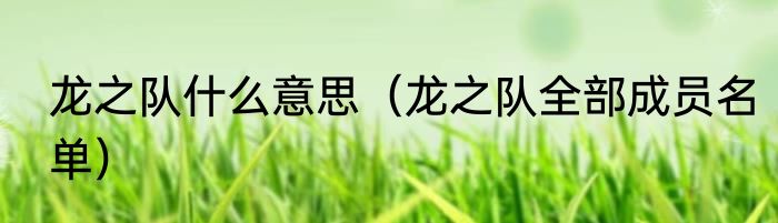 龙之队什么意思（龙之队全部成员名单）