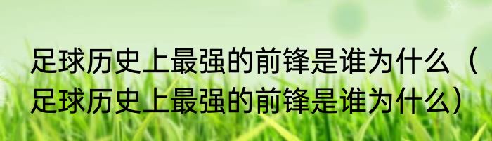 足球历史上最强的前锋是谁为什么（足球历史上最强的前锋是谁为什么）