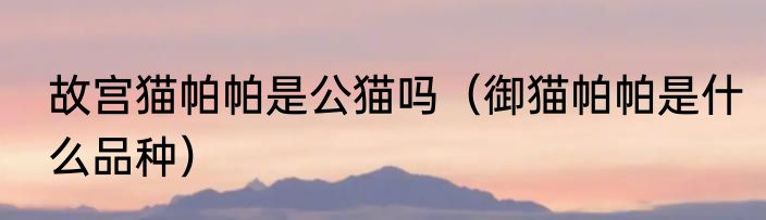 故宫猫帕帕是公猫吗（御猫帕帕是什么品种）