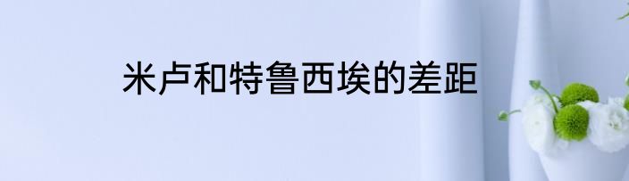 米卢和特鲁西埃的差距