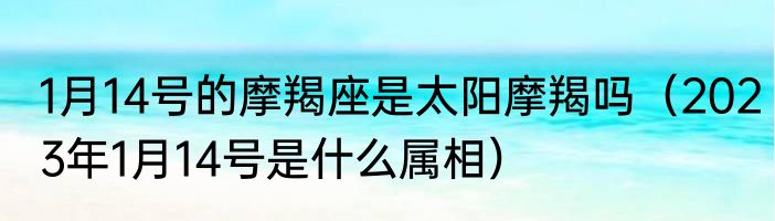 1月14号的摩羯座是太阳摩羯吗（2023年1月14号是什么属相）
