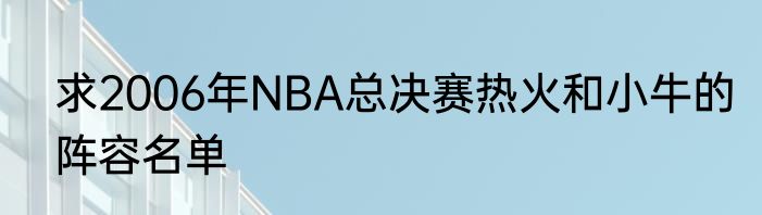 求2006年NBA总决赛热火和小牛的阵容名单