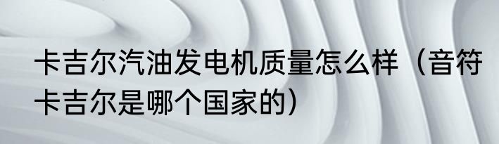 卡吉尔汽油发电机质量怎么样（音符卡吉尔是哪个国家的）