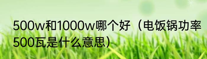500w和1000w哪个好（电饭锅功率500瓦是什么意思）
