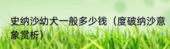 史纳沙幼犬一般多少钱（度破纳沙意象赏析）