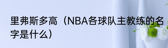 里弗斯多高（NBA各球队主教练的名字是什么）