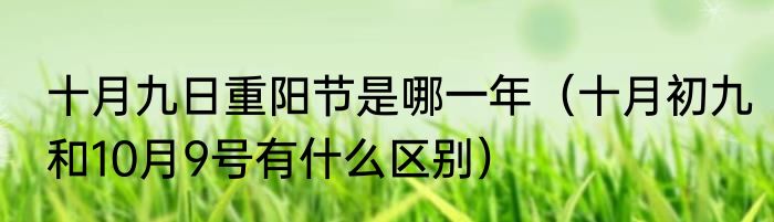 十月九日重阳节是哪一年（十月初九和10月9号有什么区别）