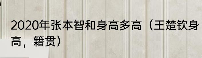 2020年张本智和身高多高（王楚钦身高，籍贯）