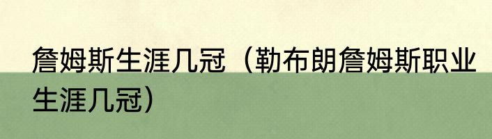 詹姆斯生涯几冠（勒布朗詹姆斯职业生涯几冠）