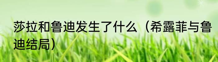 莎拉和鲁迪发生了什么（希露菲与鲁迪结局）