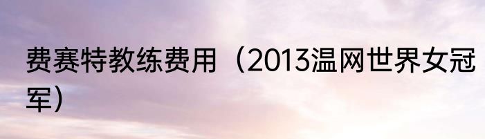 费赛特教练费用（2013温网世界女冠军）