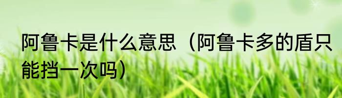 阿鲁卡是什么意思（阿鲁卡多的盾只能挡一次吗）